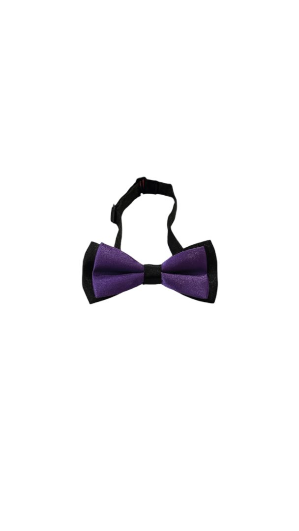 פפיון קלאסי